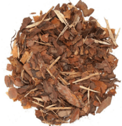 Ang katas ng pine bark sa Erogan capsules ay may positibong epekto sa potency