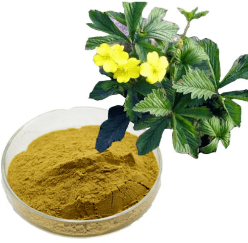 Damiana leaf extract - isang mahalagang sangkap ng Erogan capsules