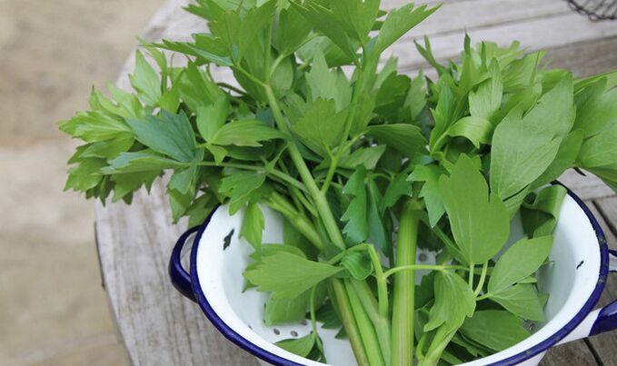 herb lovage para sa potency