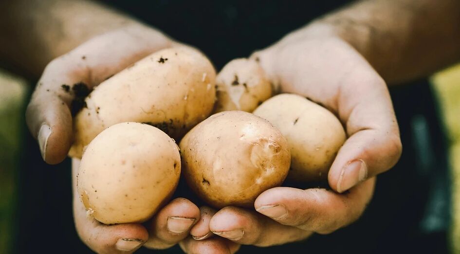 Ang patatas ay may positibong epekto sa kalusugan ng kalalakihan